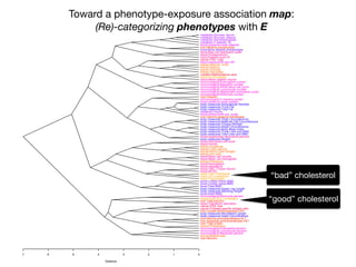 7 6 5 4 3 2 1 0
Distance
liver:Albumin
kidney:Bicarbonate
immunological:Basophils percent
immunological:Lymphocyte percent
immunological:Eosinophils percent
kidney:Phosphorus
liver:Total protein
liver:Aspartate aminotransferase AST
liver:Alanine aminotransferase ALT
body measures:Head Circumference
body measures:Recumbent Length
liver:Lactate dehydrogenase LDH
cancer:Prostate specific antigen ratio
cancer:PSA, free
blood:Transferrin saturation
liver:Total bilirubin
heart:Direct HDL-Cholesterol
immunological:Monocyte percent
bone:Head BMD
body measures:Standing Height
body measures:Upper Leg Length
bone:Total BMD
bone:Lumber Spine BMD
bone:Lumber Pelvis BMD
heart:Triglycerides
heart:LDL-cholesterol
heart:Total Cholesterol
blood:MCHC
blood:TIBC, Frozen Serum
blood:Hematocrit
blood:Hemoglobin
kidney:Potassium
blood:Mean cell hemoglobin
blood:Mean cell volume
kidney:Uric acid
kidney:Blood urea nitrogen
kidney:Total calcium
kidney:Creatinine
blood:Ferritin
blood:Red blood cell count
body measures:Weight
blood:Segmented neutrophils percent
body measures:Total Lean excl BMC
body measures:Trunk Lean excl BMC
body measures:Body Mass Index
body measures:Waist Circumference
body measures:Triceps Skinfold
body measures:Maximal Calf Circumference
body measures:Thigh Circumference
liver:Gamma glutamyl transferase
blood pressure:60 sec. pulse:
metabolic:Insulin
body measures:Total Fat
body measures:Trunk Fat
body measures:Subscapular Skinfold
blood pressure:mean systolic
immunological:C-reactive protein
liver:Globulin
immunological:Monocyte number
immunological:Segmented neutrophils number
immunological:Lymphocyte number
immunological:White blood cell count
immunological:Basophils number
immunological:Eosinophils number
blood:Mean platelet volume
heart:Homocysteine
nutrition:Methylmalonic acid
kidney:Osmolality
kidney:Chloride
kidney:Sodium
kidney:Albumin, urine
blood pressure:60 sec HR
cancer:PSA. total
blood:Platelet count SI
blood:Protoporphyrin
blood:Red cell distribution width
bone:Bone alkaline phosphotase
liver:Alkaline phosphotase
blood pressure:mean diastolic
metabolic:C-peptide: SI
metabolic:Glycohemoglobin
metabolic:Glucose, plasma
metabolic:Glucose, serum
“bad” cholesterol
“good” cholesterol
Toward a phenotype-exposure association map:
(Re)-categorizing phenotypes with E
 