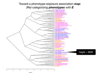 7 6 5 4 3 2 1 0
Distance
liver:Albumin
kidney:Bicarbonate
immunological:Basophils percent
immunological:Lymphocyte percent
immunological:Eosinophils percent
kidney:Phosphorus
liver:Total protein
liver:Aspartate aminotransferase AST
liver:Alanine aminotransferase ALT
body measures:Head Circumference
body measures:Recumbent Length
liver:Lactate dehydrogenase LDH
cancer:Prostate specific antigen ratio
cancer:PSA, free
blood:Transferrin saturation
liver:Total bilirubin
heart:Direct HDL-Cholesterol
immunological:Monocyte percent
bone:Head BMD
body measures:Standing Height
body measures:Upper Leg Length
bone:Total BMD
bone:Lumber Spine BMD
bone:Lumber Pelvis BMD
heart:Triglycerides
heart:LDL-cholesterol
heart:Total Cholesterol
blood:MCHC
blood:TIBC, Frozen Serum
blood:Hematocrit
blood:Hemoglobin
kidney:Potassium
blood:Mean cell hemoglobin
blood:Mean cell volume
kidney:Uric acid
kidney:Blood urea nitrogen
kidney:Total calcium
kidney:Creatinine
blood:Ferritin
blood:Red blood cell count
body measures:Weight
blood:Segmented neutrophils percent
body measures:Total Lean excl BMC
body measures:Trunk Lean excl BMC
body measures:Body Mass Index
body measures:Waist Circumference
body measures:Triceps Skinfold
body measures:Maximal Calf Circumference
body measures:Thigh Circumference
liver:Gamma glutamyl transferase
blood pressure:60 sec. pulse:
metabolic:Insulin
body measures:Total Fat
body measures:Trunk Fat
body measures:Subscapular Skinfold
blood pressure:mean systolic
immunological:C-reactive protein
liver:Globulin
immunological:Monocyte number
immunological:Segmented neutrophils number
immunological:Lymphocyte number
immunological:White blood cell count
immunological:Basophils number
immunological:Eosinophils number
blood:Mean platelet volume
heart:Homocysteine
nutrition:Methylmalonic acid
kidney:Osmolality
kidney:Chloride
kidney:Sodium
kidney:Albumin, urine
blood pressure:60 sec HR
cancer:PSA. total
blood:Platelet count SI
blood:Protoporphyrin
blood:Red cell distribution width
bone:Bone alkaline phosphotase
liver:Alkaline phosphotase
blood pressure:mean diastolic
metabolic:C-peptide: SI
metabolic:Glycohemoglobin
metabolic:Glucose, plasma
metabolic:Glucose, serum
height + BMD
Toward a phenotype-exposure association map:
(Re)-categorizing phenotypes with E
 