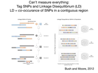Can’t measure everything:
Tag SNPs and Linkage Disequilibrium (LD)
LD = co-occurance of SNPs in a contiguous region
Bush and Moore, 2012
 