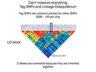 Can’t measure everything:
Tag SNPs and Linkage Disequilibrium
Tag SNPs are common proxies for other SNPs

500K - 1M per chip
tified significant associations for seven SNPs representing four new
T2DM loci (Table 1). In all cases, the strongest association for the
MAX statistic (see Methods) was obtained with the additive model.
of this gene (Fig. 2a)
solely in the secretory
final stages of insulin
*
*
*
0
2
4
–log10[P]
–log10[P]
*
4954642sr
2373971sr
3373971sr
445409sr
8012261sr
3349941sr
883429sr
2019462sr
0349941sr
90350501sr
036169sr
0415007sr
2225991sr
6136642sr
8136642sr
1869646sr
8798751sr
04928201sr
3926642sr
5926642sr
43666231sr
9926642sr
2954642sr
01350501sr
5769646sr
4577187sr
4769646sr
41350501sr
5784931sr
2173387sr
39250501sr
5050007sr
7492602sr
1255051sr
156868sr
4373387sr
4784931sr
7501107sr
2697402sr
91518711sr
6461001sr
29250501sr
5889103sr
8669646sr
0889103sr
4688392sr
SLC30A8 IDE
0
2
4
7912381sr
3148707sr
0283856sr
52078111sr
5227373sr
0491242sr
2369412sr
2297881sr
662155sr
7790197sr
44068701sr
35075221sr
5826807sr
7851092sr
9409522sr
–log10[P]
–log10[P]
EXT2 ALX4
0
2
4
*** *
0
2
4
a b
c d
LD block
2 alleles are correlated because they are inherited
together
Sladek et al, 2007
 