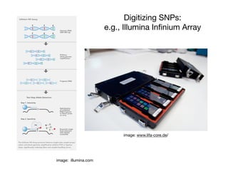 image: www.lifa-core.de/
Digitizing SNPs:
e.g., Illumina Inﬁnium Array
image: illumina.com
 