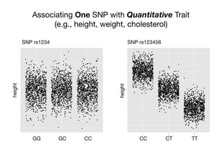Associating One SNP with Quantitative Trait
(e.g., height, weight, cholesterol)
40
60
80
100
1 2 3
factor(SNP)
trait
GG GC CC
height
SNP rs1234 SNP rs123456
25
50
75
100
125
1 2 3
factor(SNP)
trait
height
CC CT TT
 