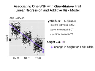 Associating One SNP with Quantitative Trait
Linear Regression and Additive Risk Model
y=ɑ+βx+ε
25
50
75
100
125
1 2 3
factor(SNP)
trait
height
CC (0) CT (1) TT (2)
SNP rs123456
height = ɑ+βx
xCC=0 if individual is CC
xCT=1 if individual is CT
xTT=2 if individual is TT
ɑ
β: change in height for 1 risk allele
T= risk allele
β
 