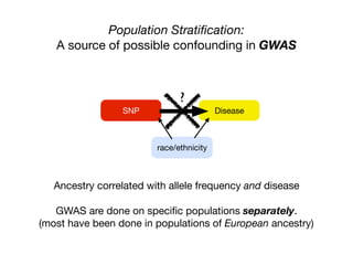 SNP Disease
Population Stratiﬁcation:
A source of possible confounding in GWAS
race/ethnicity
?
Ancestry correlated with allele frequency and disease

GWAS are done on speciﬁc populations separately.

(most have been done in populations of European ancestry)
 