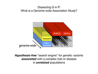 Dissecting G in P:
What is a Genome-wide Association Study?
Hypothesis-free “search engine” for genetic variants 

associated with a complex trait or disease 

in unrelated populations
SNP(A) SNP(a)
diseased
non-
diseased
SNP(A) SNP(a)
diseased
non-
diseased
SNP(A) SNP(a)
diseased
non-
diseased
SNP(A) SNP(a)
diseased
non-
diseased
SNP(A) SNP(a)
diseased
non-
diseased
SNP(A) SNP(a)
diseased
non-
diseased
SNP(A) SNP(a)
diseased
non-
diseased
SNP(A) SNP(a)
diseased
non-
diseased
SNP(A) SNP(a)
diseased
non-
diseased
SNP(Z) SNP(z)
diseased
non-
diseasedgenome-wide
 