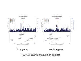 0
20
40
60
80
100
recombinationrate(cM/Mb)
●●●
●●
●●
●●●
●
●
●
●●●
●
●●●●●
●
●
●
●●●
●●
●● ●
●
●●●
●●
●
●
●
●
●
●
●●
●
●
●●
●● ●
●
●●
●●
●
●
●
●●●
●
●
●
●
●●
●
●
●
●
●●●●●
●
●●
●
●
●
●●●
●
●
●
●
●
●
●●
●
●●●
●●●
●
●
●
●
●
●
●●●●●
●●●●
●
●
●●
●
●
●●
●
●
●●
●
●●
●
●
●●●
●●
●●
●
●●
●
●●
●
●
● ●
●●●●
●
●
●
●
●
●●
●
●● ●●
●● ●
●
●
●
●
● ●
●●
●
●●●●
●
●
●
●●
●
●●
●
●●●
●
●
●
●
●
●●●●
●
● ●● ●
●
●●●●●
●
●
2 −>
PGCP
98
SLC30A8 Region
0
2
4
6
8
10
−log10(P−value)
0
20
40
60
80
100
recombinationrate(cM/Mb)
rs3802177
●●●●
●
● ●
●
●
●
●
● ●
●●
●
●●
●●● ●
●
●
●
●●●
●●
●
●●●●●●
●
●●●
●
●
●
●
●
●
●●
●●●
●●
●●●
●
●
●
●
●
●
●
●
●
●
●
●
● ●●
●
● ●
● ●
●● ●
●
●
●
●
●
●
●
●
●
● ●
●
●●
●
●
●●● ●● ●●
●
●
●
●
●
● ●
●
●
● ●
●
●
●● ●●
●
●
●
●
●
●
●
●
●
● ●
●
●
●● ●
●● ●
●
●●
●●
●
●●
●●
●
● ●
●
● ●
● ●
●●
●
●
●
●
●
●
●
●
●
●
●
●
● ●
●
●
●
●●●
● ●● ●●
●
●
●
●●
●
●●
●
●
●
● ●
●
●
●●
●
●
●
●
●●
●
●
●
●
●
●
● ●●●
● ●
●
●
●
●
●
●
● ●
●
●
●
●
●●
●
●
● ● ●
● ●
●
●
● ●
●
●
●
●●
● ●
●
●
●
●
●
●● ●
●● ●●●
●
●
●
●
●●●●●
●
●
●
●●
●● ●
●
●
●
● ●
● ●
●
●
●
●
●
●● ●
●●
●
●
●
●
●
●
●
●●●
●● ● ●
●
●
●
●●
●
●
●
●
●
●
●●
●●
●●
●
●●●
●●
●● ●
●●
●
●●● ●
● ●
●
●●●●
●
●
●
●
●
●
●
●
●
●
●●●●
●
●●
●
●
●
● ●
●●
●
●
●●
● ●
● ●
● ●
●
●●
●
●
●
●
●●●
●
●
●
●
● ●●
●
●
●
●●
●
●
●
● ●
●
●●●●
●●
●
●
●●
●●●
●
●●●●●
●●
●●●
●
●●●
●
●
●
●
●●●
●●
●
●
●
●●●●●
●
●
●
●
●●
●
●●●
●
●
● ●
●
●
●●
●
●
● ●●
●
●
●
●
●
●
●
●
●
●●
●
●
●●
●●●
●
●
● ●
●●●
●
●●●
●
●
●●
●
●
●
●
●●
●
●
●●● ●
●
●
●
●
●
●●
●
●
●
●●
●
●
●●●●
●
●
●
●
●
●
●
●
●●
● ●
●
●● ●
●
●
●
●
● ●●●●
●
●
●
●
●
●
●
● ●
●
●●
● ●● ●
●
●
●
●●
●
●
●●● ●●
●
●
●
●
●●●
●
●
●
●
●●
●
● ●●
●
● ●●
●
●
●
●● ●
●
●
●
●
●
●
●
●
●
●
●
●
●●
●
●
●
●●
●
●
●
●
●
●
●
●
●
●●●
●
● ●
●
●
●
●●
●
●
●
●
●
●
●
●
●
●●
●
●
●
●
●●●
●
●
●
●
●
●●●
●
●
●
●
●
●
●
●
●
●●
●●
●
●
●
●
●●
●●
●
●
●
●
●
●
●
●
● ●
●
●
●
●
●
●
●●
●
●
●
●
●
●
●
●
●
●●
●
●
●
●●
● ●
●
● ●
●
●
●
●
●
●
●
●
●
●
●●
●
●
●
●
●
● ●●
● ●
●
●
●
●
●
●
●●
●
●
●
●
●
●
●
●
●
●
●
●●
●
●
●
●
● ●
●
●
●
●
● ●●●● ●●●
●
●
●
●●
●
● ●
●
●
●
●●
●
● ●
●
●
● ●●●
●
●
●● ●
●
●
●
●
●●
●
●
●
●
●● ●●
●●
●
●
●
●
●
● ●
●
●
●
●
●
● ●●
●
●
●
●
●
●
●
●
●●
● ●
●
●
●
●
● ●
●
●●
●
●
●
●
●
●●
●
●
●
●
●
●●●● ●
●
●
●
● ●
●
●
●
●● ● ●
● ●●
●
●
●
●
●
●
●
●
●● ●
●
●
●●
●
●
● ●
●
● ●
●
●
●
●
●
●
●
●●
●●
●
●
●
●
●● ●
●●
●● ●
●
●●
●
●
● ●
●
●
●
●
●
●
●
●
●
● ●
●
●
●
●
●
●
●
●
●
●
●
●●
●
●
● ●
●
● ●
●
● ●●
●
●●
●
●●
● ●
●● ●
●
●●
●
●●● ●
●●
●
●
● ●
●
●
●
●
●
●
●
●
● ●
●●
●●
●
●
●●
●
●
●
● ● ●
●
●
●
●
●
●
●●
●
●
● ● ●
●
●
●
●●
●
●
●
●
●
●●
●
●
● ●
●
●
●● ●●
●
●● ●●●
●●
●●●●●●
●
●
●
●●
●●
●
●
●
●
●●●
●
●
●
●●
●
●●
●
●●
●●●●●
●
●
●
●●● ●
●
●●
●
●●
●
●● ●
●●
●
●
●
●
●
●
●
●
●● ●●●
●
●● ●●●●
●
●
●
●
●
●
●
● ●
●
●
●
●
●
● ●●
●
●
●
●
●
●
●●●
●●
●
●
●
●
●
●
●●
●
● ●●●●
●●
●●
●●●
●
●
●
●●●●●
●
●●
●
●
●
●
●●
●
● ●● ●●●●●●●●●
●●●
●
●●●
●
●● ●
●●●
●
●
●
●
●
●
●● ●
●
●
●
●● ●●
●
●●
●
●●●●●● ●
●
● ●
●
●
●
●
●
●●
● ●
●
●●
●
●
●
●
●
●
● ●● ●
●
●
●
●
●
●●
●
●
●
●●●
●
●●●●●
●
●
●●●
●
●●●● ●
●●
●●
● ●
●●● ●
●
●●●●●●●
●
●
●
●
●
●
●●
●
●●
●
●●
●●●●●
●●●
●
●
●
●
●
●
●
●
●
●
●●
●
●●●
●
●
●
●●
●●
●●
●
●●●●
●●●
●
●● ●
●
●
●
●●●
●
●●●
●
●●
●
●●●
●
●●●●●●●●●●
●
●
●
●
●●●●
●
●●
●●●●●●●●●●●●●
●
●●●
●
●●
●● ●
● ●●
●●
●
●●●●●
●
●
●
●●
●●
●
●
●●●●●●
●
●
●
●
●
●
●●●●
●
●
●
●
●
●
●
●
●●●
●
●
●
●
●
●
●
●
●●●
●
●
●●●
●
●
●●●
●
●
●
●
●●●●●
●
●
● ●
●
●
●
●
●
●
●●
●
●●
●
●
●●●●
●
●●
●
●●● ●
●
●
●
●●●
●
●
●
●
●
●●
●●
●●
●
●
●
●
●●●●●
●
●
●●
●●
●
●●●●●
●
●
●●●
●●
●●●
●
●
●
●
●●
●
●
●
● ●●
●
● ●●
●
●
● ●●
●
●
●
●
●
●
●
●●
●●●
●
●●
●●
●●●●
●
●
● ●●●
●
●
●●●
●
●
●
●
●●
●
●
●●●●● ●
●● ●
●
●
●
●
● ●
●
●
●
●
●
●
●
●
●
●
●●
●
●
●
●
●●●● ●●●●
●
●
●
●● ●
●●●●
●●
● ●
●
●●●●
●● ●
●
●
●
●●
●
● ●●
●
●●
● ●
●
●
●
●●●
● ●●
●●●
●
● ●●●
●
●
●●●●●
●
●
●
●
●●●●●
●
●●●●●
●
●●●
●
●
●●
●
●
●
●
●●●
●●
●●●
●● ●
●●
●
●
●
●
●
●
●
●
●
●●
●
●
●
●●●● ●
●
●
●
●
●●●
●
●
●
●●
●
●
● ●
●
●
●
●●
●●
●
●●
●
●
● ●●●
●
●
●
●
●
●
● ● ●
●
● ● ●● ●
●
●
● ●
●●
●
●
●●●● ● ●●●
●●
●
●
●
● ●
●
●●
●
●
●
●
●
●
●
●
●
●●
●
●●
●●●
●
●
● ●
● ● ●
●
●
●
●●
●
●
●●
●
●●●
●
●●●
●
●●●●●●● ●
●
●
●
●
●
●●●●●●●● ●●
● ●
●
● ●●●●●● ● ●
●●
●
●●
●●● ●
●
●
● ●
●
●
●●●● ●●
●
●
●●●
●●●
●
●●●●
●
●●●●●●
● ● ●
●
●
●
●
●
●
●
●
●
● ●
●
●
●
●
●●
●
●
●
●
●●●●●●●●●●●●●
●●●●●●● ● ●
●●●●●●●
●
●
●
●●
●
●
●
●
●
●
●
●●
●
●● ●●●
●
●●
●
●●●●
●● ●
●
●
●
●
●
●●●●
●
●●
●
●
●
●
●
●●
●●●●● ●
●
●
●●
●
●●●●●●●●●●●●●
●●●●●●●●●●
●
●●
●
●
●
●
●
●
●
●●
●
●●
●
●●
●
●●●●●●
●
●● ●
●●●●●●●
●
●●
●●●●
●
●●●●
●
● ●
●●●●●●
●
●●
●●●●●●●●●●●
●●● ● ●
●
●●●●●●
●
●●
● ●●●●●●
●●●●●
●
●
●
●
● ●●●●●●●●●●●●●●●●●●●
●●
●
●
●
●●
●
●
●
●
●●●●
●●
●
●●●
●●
●●●
●
●●
●●
●
●●
●
●
●●●●●
●
●
●
●●
●●
●●●
●
●
●●
●●
●
●
●
●
●
●
●
●
●
●
●●●
●●● ●
●●●
●
●●●●●●●●
●
●●●●
●
●
●●●
●
●●
●
●●●
● ●●●●
●
●●
●●●
●
●●●●●
●●●●
●●
●●●
●
●
●
●
●
●
●●●●
● ●
●
●●●
●
●
●
●
●
●
●
●
●●●●●●●●●●●
●
●
●●●●●
●
●
●●●●●
●
●●●●
● ●●
●
●●●●●
●
●●●● ●●
●
●●
●
●
●
●●
●●●●●●●●●●●●●
● ●
●●●●●●●
●●●●
●
●●
●●
●●●
●
●
●● ●●●
●
●●●●
●
●
●●●
●●●●●●●
●
●●
●
●
●
●●
●
●
●
●
●
●
●
● ●
●●●
●●●●●
●
●●●●●●●●●●●
●
●●●●●●●
●●●●●●●●
●
●
● ●
●●
●
●
●
●●●
●●
●
●
●●●●●●●●●●●●●●●●
●●●●●
●●●●●
●
●
●
●
●
●
●●
●●
●
●
●
●●●
● ●
●●
●
●
●
●
● ●● ●
●
●
●
●
●
●●
●
●
●
●
●●
●●
●
●
●●●●●
●
●
●●
●
●
●
●
●
●
●
●
●
●
●
●
●●●
●
●●●
●
●
●
●
●
●
●
●
●
●
●
●
●
●
● ●●
● ●
●
●
●
●
●
●●
●
●
●
●
●
●
●●
● ●●
●
●
●
●
●
●
●
● ●
● ●
● ●●
● ●
●
●
●
●●
●
● ●
●● ●●
●
●
●
●
●
●●
● ●
●
●
●● ●
●
●
●
●
●
●● ●
●
●●
●●
● ●
●
●
●●
● ●● ●
●
● ● ●
●
●
●
●
●
●
●
●
●
●
●
●
●
●●
●
●
●●
●
●
●
●
●
●
● ●
●
●
●
●
●
●
●
●
●
●
●
●
●
●
●
●
● ●
●
●
●●
●●
●
●●
●
●
●
●
●
●
●
●
●●
● ●●
●
● ●●
●
●
●●
●
●●
●
●● ●
●
●
●
●●
●
●
● ●● ●
●●●
●
●
●
●
●
● ●● ● ●
●
● ●
●
●● ●●●●●●●●●
●
●●●●
●●
●●●
●●
●●
●●●
●
●●
●
●
●
●●●●
●
●
●
●
●
● ●
●●
●
●
●●●
●
●●
●
●●
●
●
●
●●●
●
●
●●●●●●●●
●
●●●●
●●
● ●●
●●
●
●●●●●●●
●●●●
●
●
●●
●●●
● ●●●
●●●
●
●●
●
●
● ●●
●
●●●●
●
●
●
●
●●●
●
●●●●●●●●
●
● ●
●
●●
●
●
●
●●
●
●
●●
●
●● ●●
●
●
●
●●●●
●
●
●
●
●●
●
●●
●●
●
●
●● ●
●●●●
●●
●●
●
●
●
●
●
● ●● ● ●●●
●
●
●
●
●
●
●
●
●
●●●
●
●●
●●●●
●
●●
●
●
●
●
●● ●
●
●
●
●
●
●●
●
●
●
●
●
● ●
●
● ●
●●
●
●
●
●
●
●●
●
●
●
●
●
●
●
●
●
● ●
●
● ●
●
●
●
●
●
●
●
●
●
●
●
●
●●●●
● ● ●
●
●
●
●
●
●
●
● ●● ●
●●
●
● ●●●●
●
●
●● ●
●
●●
●●
●
●
● ●
●
●
●
●
●● ●
●
●
●
●
●
●
● ● ●●
●
●
●
●
●
●
●
●●
●
●
●
●
●
●
●
●
●
●
●
●
●
●
●
●
●
●
●
●
●
● ●
● ●
●
●
●
●
●●
●
●
●
●
● ● ●
●
●
●
●
●
●
●
●●
●
●●
●
●
●●
●●
●
●
●
●
● ●●
●
●
●
●
●●
● ● ●
●
●
●
● ●
●
●●
●
●
●
● ●
●
● ●●● ●●
●
●●
●●
●
●
●
●
●
●
●
●
●
●
● ● ●
●
●
●
● ●
●
●● ●
●
●
●
●●
●
●
● ● ●
●●
●
●
●
●●
●
●
● ●
●
●
●
●
●●
● ●
●
●
●
●●●●
●
●
●
●
●
●
●
●
●
●●
●
●
● ●
●
●
●
●
●
●
●
●
●
●●●
●
●●
●
● ●
●●●
● ●
●
●
●
●
●●
● ●
●●
●●
● ● ●
● ●●
●
●● ●●
●
● ● ●
● ●
● ●●
●
●
● ●
●●
●●
●
●●
●●●●●●●●
●
●
●●●●●●●
●
●●●
●
●
●●●●●
● ●● ●
●
●
●●
●
●
●
●●
●
●
●
●
●
●
●● ● ●
●
●
●
●
●●
●
●
●●● ●●
●
●
●●
●
●
●
●
●
●
●
●
●
●
●
●
●
●
●
●
● ●
●
●
●
●● ●
●
●● ●●
●
●●
● ●
● ●● ●
●
● ●●
●
●
●●
●
●
●
●
●
●
●
●
● ●●
●
●● ●● ●
●●
●
●
●
●
●
●
●
●
●
●
●●●
●
●●
●
●
●
●
●
●●
●
●
●
● ●●
●
●
●
●
●
●
●
●
●
●
●
●●●●
●
● ●●
●
●
●
●
●
● ●●●
●
●
●
●
●
●
●
●
●
●
●
●
●
●
●
●
●
●
●
●
●●
●
●●
●
●●
●
●
●● ●
● ●●
●
●
●
●●
● ●
●●●
●
●
●
●●
●
●
●
●
●
●
●
●●
●
● ●
●
●
●
●
●
●
●●●
●
●
●
●●●
● ●
●
● ●●
●
●
●
●
●
●●
●
●
●
●
●
●●
●
●
●
● ●
●
●
●●●
●
●
● ●
●
●●
●
●●
●
●●●●●●●●●●
●●●●●
●●
●●●
●●●
●
●
●●●●
●●●●●●●●●●
●
●
●
●
●●
●●●●●
●●●●●●●●●●
●●●●●
●
●
●
●
●
●
●●●●●●●●
●
●
●
●●●●
●●●●
●●●
● ●
●●
●
●
●●
●
●
●
●●●●● ●●
●
●
●
●
●
●
●
●●●●
●
●●●
●
● ●●
●
●
●●
●
●
●
●● ●
●●
●●● ●
● ●
●
●●●
●●
●
●●
●
●
●
●
●
● ●●
●
●
● ● ●
●
●
●
●●
●
●
●
● ● ●●
●
● ● ●
●
●
●●●●
● ●
●
● ●
●
●
● ●● ● ●● ●
●
●
●
●
●
●●
●
●
●
● ●
●● ●●●●
●●
●
●
●● ●
●
●●
● ●
●
●
●
●
●● ●●
●
●●
●
●
●
●
●●
●
●
●
●●
●
●●
●●
●
●
●
rs3802177 stage 1
● r^2: 0.8 − 1.0
● r^2: 0.6 − 0.8
● r^2: 0.4 − 0.6
● r^2: 0.2 − 0.4
● r^2: 0.0 − 0.2
● r^2 missing
<− TRPS1
<− EIF3H
UTP23 −>
<− RAD21
LOC441376 −>
SLC30A8 −>
MED30 −>
<− EXT1
<− SAMD12
<− TNFRSF11
COLEC1
117 118 119 120
Position on chromosome 8 (Mb)
CDKN2A/B Region
0
2
4
6
8
10
−log10(P−value)
0
20
40
60
80
100
recombinationrate(cM/Mb)
rs10965250
●● ●● ●
●
●
●
●
●
●
●
●
●
●
● ●●●
●
●
●●
●
●●
●
●
● ●
●
●
●
●
●
●
●●
●
●
●
●●
●
●
●●●
●
●
●
●
●
●
● ●
●●
●
●
● ●
●
●
●
●
●
●●
●
●●
●
●
●
●●
●
●●
●
●
●
●
●
●
●●●
●
●●●
●
●
●
●
●
●●●
●
●
●
●
●
●
●
●
●
●
●
●
●
●
●●
●
●
●
●●
●
●
●
●
●
●
●
●
●
●
●
●
●●
●
●●
●
●●●
●
●
●
●
●
●●
●● ●
●
●
●●
●
●
●●
● ●●
●
●
●
● ●●
●
●
●
●
●
●
● ●●
●
●●
●
●
●
●
●●
●
●
●
●
●● ●
●
●● ● ●
●
●
●
●
●
●
●
● ●
●
●●
●●
●● ●
●
●
●
●
●
●
●
●●
●
●●●●
●
●
● ●
●●
●
●
●
●
●
● ● ●
●●
●
●
●
●
●●●●
●
●●
●
●●
●
●
●
●●●
●
●●●
● ●
●
● ●●●
●
●●●
●
●
●
●
●●●●
●●
●
●●
●
●
●
●
●
●
●
●●●
●
●
●
● ●
●
●
● ●
●
●
●
●
●
● ●
●
● ●●
●
●
●
● ●
● ●●●●
●
●●
●
●
●
●
●
● ●●
●
● ●●●●●
●
●●
●
●
●
●
●
● ●●
●
●
●
●●
●
●
●
●
●●
●
●
●
●
●
●
●
●
●●●
●●
●●●
●
●●
●●
●
●
●●
●●●
●●
●
●
●●
●
●
●●
● ● ●
●
● ●
●●●●●●●●●
●●
●●
●
●
●
●
●
●
●
●●
●
●
● ●●●●●●●
●●●
●
●
● ●●
●
●
●●●●
●
●
●
●●
●
●
●
●
●●●●●
●
●●
●●●●●●
●
●
●
●●
●
●
●●●
●
● ●
●●●
●
●●●●
●
●
●
●●●●
●●
●●●
●●
●●●●●
●●
●●●
●●●●●
●
●●●●
●
●
●
●●
●
●
●
●
●●●
●
●
●●
●●
●●
●
●
●
●
●●
●
●
●
●●●
●
●
●
●
●
●●●●●●●
●●●
●
●●
●●
●
●
●
●
●●
●
●
●
●
●
●
●
●
●●
●
●
●●
●●
●●
●●●●●●●●●●
●
●●●
●●
●
●
●
●
●●
●
●
●
●●
●
●
●
●
●
●
●
●
●●●
●●●●●
● ●●
●●
●
●
●●●
●●
●
●●
●
● ●
●
●
●●●
●
●●●
●
●●●
●
●
●
●
●●●●●●●●●●●●●
●
●●
●●●
●●●
●●●
●
●
●
●●●●
●●
●
●
●
●●
●
●
●
●●
●
●
●●
●
●
●
●●●
●●
●●
●●●●●●●●●●●●●●●
●
●●●
●●●●●
●
●
●
●
●
●
●
●●●●
●●
●
●
●
●
●
●●
●
●●●
●
●
●●
●●●●●
●
●●
●
●
●
●
●●●●●●●
●
●
●
●
●
●●●
●●
●
●●●
●
●●●
●
●●●●●●●●●●●●●●●●
●●●●
●●
●
●●
●●
●●
●
●
●
●
●
●●
●
●●
●
●●●
●
●●●
●
●●●●●
●
●●
●
●●●
●●
●●
●
●
●●●
●●
●●●●
●●
●●
●●
●●
●
●
●
●
●
●
●●●●
●
●●●●●
●
●
●
●●●●
●
●●
●
●
●
●
●●●
●
●●
●
●
●●●●●
●
●
●
●
●
●●
●
●●
● ●●●●●
●
●●
●●●●●
●●
●
●●●
●
●
●●●
●
●
●
●
●
●
●
●●
●
●●●●
●
●
●●
●
●●
●●●●●●●●●●●●●●
●●
●
●●
●●●
●
●
●
●●
●●
●
●●●
●
●●●●
●
●
●
●
●●
●●
●●
●●●●●●
●
●
●●
●
●
●●
●
●
●
●
●●
●
●●
●●●
●
●
●●
●
●●
●
●
●
●●
●
●●●
●
●●
●
●
●●●
●
●●●●●
●
●
●●●
●●●●●
●●
●●●
●
●
●
●
●
●
●●
●
●
●
●
●●●●●●
●
●●●
●●
●
●●●
●
● ● ●
●●
●●
●
●
●
●
● ●
●
●
●
●
●
●
●
●●
●
●
●
●
●● ●●●
●
●
●● ●
●
●
● ●
●
●
●
●
●
●
●
●●
●
●●●
● ●●
●
● ●●●●● ●● ●
●●
● ●● ● ●
●
●●
●●
●●
●
● ●● ●
●
●
●●
● ●
●
●●
●
●●
● ●
●
●
● ● ●●●● ●
●
●
●
●●
●
● ●●●●
●●
●●●
●●
●●
●
●
●
●●
●
●
●●●●
●●●
●
● ●●
●●
●
●
●
●●●
●
●
●●●
●
●
●
●
● ●
●
●
●
●
●●
●
●
●
●●
●
● ●
●
●
●
●
●●
●●
●
●
● ●●●
●
●
●
●
●●
●
●
●
●● ●●
●
●●
●
●
● ● ● ●
●
● ●
●
●●
● ●●●●
●
●
●
●
● ●
●
●
● ●
●
●● ●
●
●
●
● ●●
●●
●●
● ●
●●
●
●
●
●
●
●
●
●
●
●
●
●
●
●
●
●
●
●
●
●
●● ●
●
● ●●
●
●
●
●
●
● ●
●●
●
●
● ●
●
●
●
●
● ●
●
●●
●
●
●
● ●
●
●
●●●● ●
●
●
●●
●
●
● ●
●●
●
●●
●
●
●
●
●
●●●
●●●●
●
●
●
●●●
●
●
●
●
●
●●
●
●
●
●
●
● ●●●
●
●
● ●
●●● ●●
●
●
●
●●
●●
●
●●
●●
● ●●●●
● ●
●
●
● ●
● ● ●
●
● ●
●
●
●
●●
●● ●
●●●
●
●
●●
●
●
●
●
●
●
●●
●
●
●
●
●
●
●
●
●● ●●
●● ●
●
●
●
● ●
●
●●
●
●
● ●
●●●●●
●● ●
●
●● ●
●
●
●
●
●
●
●
●
●
●
●
●●●
●
●●● ●●
●
●
● ●●
●
●
●●●
●
●●●●
●
●●
● ●
●
●
●
●●
● ●
●
●
●●●
●●●●●●
●●●●
●● ●●
●●●●
●●●
●●●
●
●
●
●
●● ●●
●
●●●
●● ● ●
●●●
●●●●
●
●●
●
●
●●
●●
●
●
●
●
●
●
●●
●
●
●
●
●
●
● ●
●
●
●●●
●●
●
●
●
● ●●
●
●
●●
●●
●
●
●●
●
●
●●
●
●●
●
●●●●●
●●
●●
●
●
● ●●●
●●
●
●
●●
●
●●
●●
●●●
●
●
●
●●
●
●
●● ● ●●
●●●●●●●●●●●●●●●●
● ●●
●●●
●●
●●●●
●
●
●
●
● ●●
● ●
●
●● ●●●●●
●
● ● ●
●
●● ●●
●
●●
●
●●
●
●
●●●
●●
●
●
●
●
●●●
●
●● ●● ●
●● ●
●
●
●●
●
●
●●●●
●●● ●
●●
●●●●●
●
●
●●●
●
●●
●
●●
●
●
●●●
●●
●●●
●
●
●
●
●
●
●
●●
●
●
●●●● ●●●
●●
●●
●● ●
●●
●
●●
●
●
●●●●●
● ●●
●
●
●●
●
●
●
●●●●
●
●●
●
●●●
●
●
●
●
●
●
●
●●●
●●
● ●
●
● ●●
● ●●●●●
●
●
●●
●
●●
●
●
●●
●
●
●
●●●●●●
●
●
●●●●
●●
● ●●●●● ●
●
●
●
●●
●●
●
●●
●
●
●
●
●●●●●
●
●
●
●●●●
●
●
●
●●●●●● ●
●●
●●
●●●
●●●
●●●
●
●
●
●● ●
●
●
●
●
●
●
●
●
●
●
●
●●●
●
●
●●
●●●●●
●●● ●
●●●
●
●
●
●
●
●
●●
●
●
●●●●● ●●● ●
●
●
●
●
● ●●●
●
●
●●
●
● ●●
●
●
●
● ●●
●
●
●
●
●
●●●
●
●
●● ● ● ●
●
●● ●
● ●●●
● ●
●
● ●
●
●
●
●
●●
● ● ● ●
●●
●
●
●
●●
●●
●
●●
●
●
●●
● ●
●
●
●
●
●
● ● ●
●
●
●
●
●●
●
●
●
●
●
● ●●
●
●
●
●
●●
●
●
●
●
●
●
●
●●
●
●
● ●●
●
●●
●
●
●
●
●●
●
●●
●
●
●
●
●
●
●●
●
●●●
●
●
●
●
●●●●
●
● ●
● ●
●
● ●
●
●●
●
●
●
●
●
●
●●
●
●
●
●
●
● ●● ●
●
●● ● ●
●
●●
●
●
●
●
●
●
●
●●
●
●●
●
●
●
●
●
●
●● ●●
●
●
● ●
●
●●
●
●●
●●●
●
●
●
●● ●
●●
●●
●
● ●● ●
●
●
●
●
●●
●
●
●●
●●
● ●
●
●
●
●●
●
●
●
●
●●
●●●
●●
●●● ●●
●●
●●●
●●
●●
●
●
●
●
●●
●● ●● ●
●
●
●
●
●
●
●
●●
●
● ●●
●
●●
● ●
●
●●
●●
● ●●
●
●
●
●
● ●●
●
●
●
●
●
●●
●
●
●●
●●●●●●
●
●
●
●
●
●
●
●
●
●
●●
●
●●●●
●
●
●
●
●
●
●●●
●● ●●●●●●
●●
●●●●●●●●
●
●
●
●
●
● ●
●●
●●
●
●●●●
●●
●●
●
●
●●
●
●
●
●
●
●●●●
●
●
●
● ● ●
●
●●
●●●●●
●
●
●
●●
●
●
●
●
●
●●
●
●
●
●
●●●●●●●
●●
●
●
●
●
●●
●
●
●●
●
●
●●●●
●
●●
●●
● ●
●
●
●
● ● ● ●
●●●
●
●
●
●
●
●
●
● ●
●
● ●●
● ●
●●
●
●
●
●●
●
●
●● ●
●
●●
●
●
●
●
●
●
●●●●●
●●
●● ●
●
●
●●
●
●
●
●
●●●●●●●●
●●●
●
●●●●
●●● ●
●
●●
●
●
●●●● ●●●●
●
● ●
●
●
● ●●●●●
●
●
●
●
●
● ●
●
● ●
●●●
●●●
●
●
●
●●
●●
● ●
●
● ●
●●
●
●●
●
●●
●
●
●
●
●
●
● ●●
●
● ●
●
●●●●
●●
●
●
●
●
●
●●● ●
●
●● ●●
●
● ●●●
●
●
●
●
●●
●
●
●●
● ●
●
●
● ●
●
●
●
●
● ●●●
●
●
●
●
●●
●
●
● ●●●●
●
●
●
●
●
● ●●
●
●
●
● ●
●
● ●
● ●●
●●
●
●
●
● ●
●
●
●
●
●●
●
●
●
●
●
●
●
●
●
●
●
●
●
●
●●● ●●
●
●
●
●
●● ●
●
●
●
●●
●
●●
●
●●●●
●●●
●
●
●
●●● ●
●
●
●
●●●
●
●
●
●
●●
●●
●
●●
●
● ●●●
●
●
●
●●
●● ●
●●
●
● ●
●
●●
●
●
●
●
●
● ●●
●●
●●●
●
●
●
●
●●●
●
●● ●●
●●
●● ●●
●
●●● ●●
●●● ●
●●●
●
●
●
●●
●
●
●
●
●
●
●●●
●
●●●●
●
●
●
●●
●●●
●
●
●●●
●●
●●
●●●●●
●
●
●●●●
●
●
●●● ●● ●● ●
●
●
●
●
●
●
●
●
●
●
●
●
●●
●
●●●
●
●●
●
●
●
●
●●
●
●
●●
●
●●
● ●●●●● ●●● ●●●
●
●
●
●
●
● ●●
●
●
●
●
●
●●
●●
● ●●●●
●
●●
●
●
●
● ●
●
●
●
●
●
●
●
●
●
●
●
●
●
●
●
●
●
●●
●
●
●
● ●
●
●●
●
● ●
●
●
●
●● ●
●
●
●
●
●
●
●
●●●
●
●
●
●
●
●
●●
●
●
●
●
●● ●
●
●
●●●●●●●
●●
●●●●
●●
●
●
●●
●●
●
●
●
●●
●
●●●
●
●
●
●●
●
● ●●●● ●●●●●
●●●●●
●●
●
●●●●
●
●
●●
●
●●●
●
●
●●● ●● ●
●
●● ●
●
●
●
●●
●●● ●●
●●
●● ●
●
●
●●
●
●
●
●●
●●
●
●
●
● ●
●
●
●
●●●●●
● ●
● ●
●
●
●●
●
●●
●
●
●
●
● ● ●●● ●
●
● ●● ●
●
●
●●
●
● ●
●●
●
●
● ●
●
●
●●
●●
●
●
●●●
●
●
●
●
●
●
●
●
●
●
●
●
● ●
●
●
●
●●●
●
●
●
●
● ●
●●
● ●
● ●
●
●
●
●
●
●● ●
● ●
●
●
●
●
●
●
●
●●●● ●●
●
●
●
●
●
● ●●
●
●
●
● ● ●
●
●●
●
●
●●
●
●
●●
●
●
●
●
●
●
● ●
●
● ●
● ●
●
●
●
●
●
●
●●
●
●
●
●
●
●
●● ●
●
●
● ●
●
●
●●●
●
●●
●●
●
●
●●
●
●
●
●
●
●●●
●
●●
●
●
●
●
●
●
● ●
●
● ●
●
●●
●●
●●
●
●
●
●
● ●
●
●
●
●
● ●
● ●●● ●
●
●
●
●
●
●
●
●
●
●
●
●
●●
●
● ●●
●●
●
●
●
●
●
● ●
● ●
● ●
●
●●
●
●
● ●●
●
●
●
●
●
●●
●
●
●
●●
●●
●
●
●
●
●
● ●
●
● ●●
●
●
● ●
●
●
●
●●
● ●● ●
●●
●
●
●
●
●
●
● ●
●
●
●
●
●
●
●●
●
●
● ●● ●●
●●
●
●
●
●
●
●●
●
●
●● ●
●
●
●
●
●
●●●
●
●●●
● ●
●●
●
●●●●
●
●
●
●
●●
●
●
● ●
● ●●
● ●● ●● ●
●
● ●
●
●
●
●
●
●
● ● ●
●
● ●
●
●
●
●
●● ●●
●
●
●
●
●
●
●
●
●
●
●
● ●●
● ●
●
● ●●
●
●
●●
●●
● ●
●
●
●
● ●
●
●
● ●●
●
● ●
●
● ● ●
●
● ●
●●
●
●●
●
●
●
●
●
● ●
●
●
●
●
●
●
●●
● ●
● ● ●●●● ●
●
● ●●
●
●
● ●
●
●
●
● ●
●
●●
●
●
●
●
●
● ●● ●
●
●
● ●
●
●
●
● ●
●
●
●
●●
●
●●
●
● ●
●
● ●●
●
●
●
●
●
●
●
●●
● ●
●
●
●●
●
●
●
●
●
●
● ●
●●
●
●
●
●
●
● ●
●
●
●
●● ●
● ● ●
●●
●●●
●
●
●
● ●
●
●
●
●
● ●
●
●●
●
● ● ●
●
●
●
●
●
●
● ●
●
●
●● ●
●
●
●
● ●
●
●
●●
●
●
●
●● ●
●
●
●
●
● ●
●
●
● ●●
●
●
● ●
●
●● ● ●
●
● ●●
●● ●
●
● ●
●
●
●●
●●
●
●
● ●● ●
●
●
●
● ●
●
●
●
●
●
●
●
●
●●
●
● ●
●
●
●
●●
●
●●
●
●
●
●●
●
●●
●
●
●
●
● ●
●
● ●●●
●
●
●
●
●
●● ●
●
●
●●
●
●●
●
●
●●● ●
●
●●●●
●●
●
●
●
●
●
●
● ●●●
●
●
●●● ●●
●
●
●
●
●●
●
●
● ●●
● ● ● ●
●
●
●●
●
●
●
●●
●
● ●
● ● ●●●● ●
●●
●
●●
●
●
●●
●●●
●
●
●
●
●
●
●
●
●
● ●
●●
● ●●
●
●●
●
●
●●
● ● ●
●
●
● ●●●
●●●
●● ●
●
● ●
●
●●
●
●●● ●
●
●
● ●
●
●
●
●
●
●●
●●
●●
●
●● ●● ●
●●
●
●
●●●
●
●
●
●
●
●●
rs10965250 stage 1
● r^2: 0.8 − 1.0
● r^2: 0.6 − 0.8
● r^2: 0.4 − 0.6
● r^2: 0.2 − 0.4
● r^2: 0.0 − 0.2
● r^2 missing
<− MLLT3
KIAA1797 −>
<− PTPLAD2
<− IFNB1
<− IFNW1
<− IFNA21
<− IFNA4
<− IFNA7
<− IFNA13
MTAP −>
<− CDKN2A
<− CDKN2B
DMRTA1 −>
<− ELAVL2
21 22 23 24
Position on chromosome 9 (Mb)
40
60
80
100
recombinationrate(c
CDC123/CAMK1D Region
4
6
8
10
log10(P−value)
40
60
80
100
recombinationrate(c
rs12779790
●●●
●
●
●●
●
rs12779790 stage 1
● r^2: 0.8 − 1.0
● r^2: 0.6 − 0.8
● r^2: 0.4 − 0.6
● r^2: 0.2 − 0.4
● r^2: 0.0 − 0.2
● r^2 missing
HHEX/IDE Region
10
15
log10(P−value)
40
60
80
100
recombinationrate(c
rs5015480
●
●
●
●
●
●●
●
●
●
●●●●
●●
●
●
●
●
●●
●
●
●
●
●
●
●
●
●●
●
●
●
●
●
●
●
●●
●●●
rs5015480 stage 1
● r^2: 0.8 − 1.0
● r^2: 0.6 − 0.8
● r^2: 0.4 − 0.6
● r^2: 0.2 − 0.4
● r^2: 0.0 − 0.2
● r^2 missing
.609
Not in a gene...In a gene...
~90% of GWAS hits are non-coding!
 