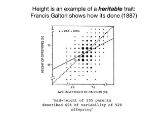 Height is an example of a heritable trait:

Francis Galton shows how its done (1887)
“mid-height of 205 parents
described 60% of variability of 928
offspring”
 