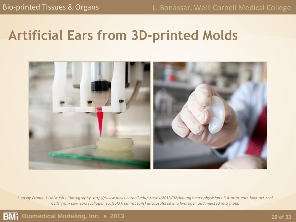 Anatomical Engineering for the Intelligent Design of Medical Devices