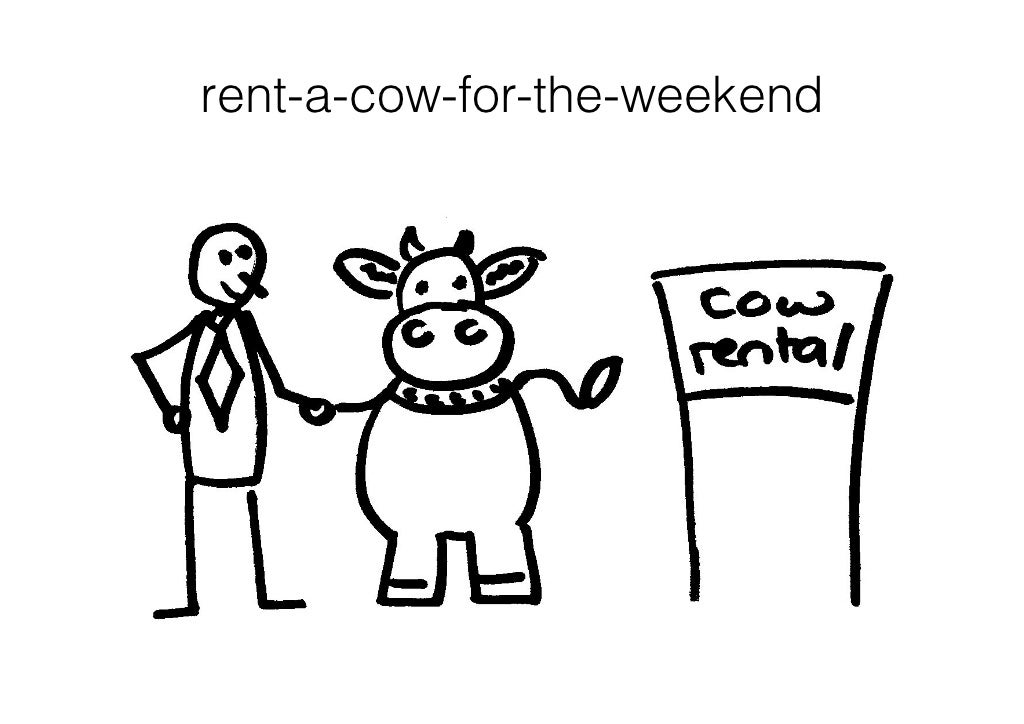 rentacowfortheweekend