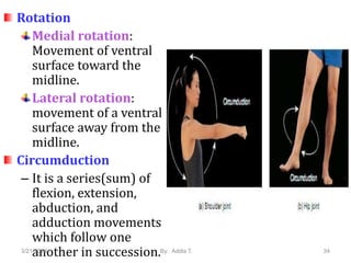BMI introduction for human anatomy .pptx