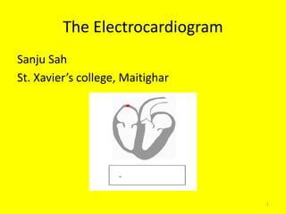 The Electrocardiogram
Sanju Sah
St. Xavier’s college, Maitighar
1
 