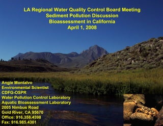 LA Regional Water Quality Control Board Meeting Sediment Pollution Discussion Bioassessment in California April 1, 2008 Angie Montalvo Environmental Scientist CDFG-OSPR Water Pollution Control Laboratory Aquatic Bioassessment Laboratory 2005 Nimbus Road Gold River, CA 95670 Office: 916.358.4398 Fax: 916.985.4301 