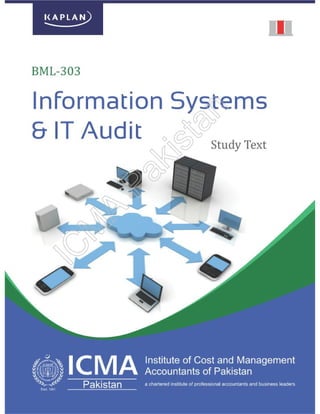 Information Systems & IT Audit (BML303)