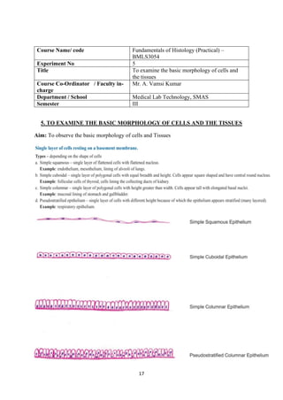17
Course Name/ code Fundamentals of Histology (Practical) –
BMLS3054
Experiment No 5
Title To examine the basic morphology of cells and
the tissues
Course Co-Ordinator / Faculty in-
charge
Mr. A. Vamsi Kumar
Department / School Medical Lab Technology, SMAS
Semester III
5. TO EXAMINE THE BASIC MORPHOLOGY OF CELLS AND THE TISSUES
Aim: To observe the basic morphology of cells and Tissues
 