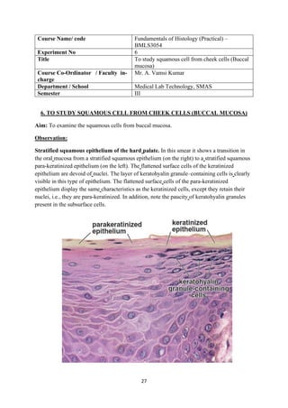 27
Course Name/ code Fundamentals of Histology (Practical) –
BMLS3054
Experiment No 6
Title To study squamous cell from cheek cells (Buccal
mucosa)
Course Co-Ordinator / Faculty in-
charge
Mr. A. Vamsi Kumar
Department / School Medical Lab Technology, SMAS
Semester III
6. TO STUDY SQUAMOUS CELL FROM CHEEK CELLS (BUCCAL MUCOSA)
Aim: To examine the squamous cells from buccal mucosa.
Observation:
Stratified squamous epithelium of the hard palate. In this smear it shows a transition in
the oral mucosa from a stratified squamous epithelium (on the right) to a stratified squamous
para-keratinized epithelium (on the left). The flattened surface cells of the keratinized
epithelium are devoid of nuclei. The layer of keratohyalin granule–containing cells is clearly
visible in this type of epithelium. The flattened surface cells of the para-keratinized
epithelium display the same characteristics as the keratinized cells, except they retain their
nuclei, i.e., they are para-keratinized. In addition, note the paucity of keratohyalin granules
present in the subsurface cells.
 