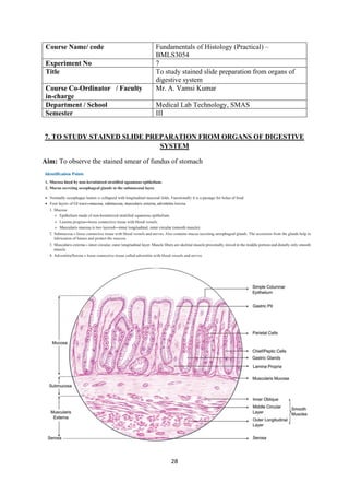28
Course Name/ code Fundamentals of Histology (Practical) –
BMLS3054
Experiment No 7
Title To study stained slide preparation from organs of
digestive system
Course Co-Ordinator / Faculty
in-charge
Mr. A. Vamsi Kumar
Department / School Medical Lab Technology, SMAS
Semester III
7. TO STUDY STAINED SLIDE PREPARATION FROM ORGANS OF DIGESTIVE
SYSTEM
Aim: To observe the stained smear of fundus of stomach
 