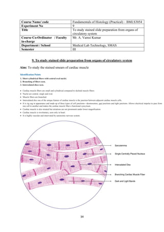 34
Course Name/ code Fundamentals of Histology (Practical) – BMLS3054
Experiment No 9
Title To study stained slide preparation from organs of
circulatory system
Course Co-Ordinator / Faculty
in-charge
Mr. A. Vamsi Kumar
Department / School Medical Lab Technology, SMAS
Semester III
9. To study stained slide preparation from organs of circulatory system
Aim: To study the stained smears of cardiac muscle
 