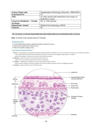 38
Course Name/ code Fundamentals of Histology (Practical) – BMLS3054
Experiment No 10
Title To study stained slide preparation from organs of
Respiratory system
Course Co-Ordinator / Faculty
in-charge
Mr. A. Vamsi Kumar
Department / School Medical Lab Technology, SMAS
Semester III
10. TO STUDY STAINED SLIDE PREPARATION FROM ORGANS OF RESPIRATORY SYSTEM
Aim: To observe the stained smear of Trachea
 