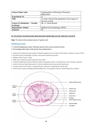 40
Course Name/ code Fundamentals of Histology (Practical) –
BMLS3054
Experiment No 11
Title To study stained slide preparation from organs of
Nervous system
Course Co-Ordinator / Faculty
in-charge
Mr. A. Vamsi Kumar
Department / School Medical Lab Technology, SMAS
Semester III
11. TO STUDY STAINED SLIDE PREPARATION FROM ORGANS OF NERVOUS SYSTEM
Aim: To observe the stained smear of spinal cord
 