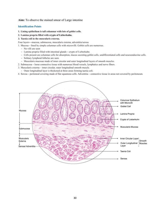 Histology Lab manual PDF