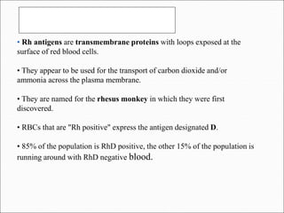 • Rh antigens are transmembrane proteins with loops exposed at the
surface of red blood cells.
• They appear to be used for the transport of carbon dioxide and/or
ammonia across the plasma membrane.
• They are named for the rhesus monkey in which they were first
discovered.
• RBCs that are "Rh positive" express the antigen designated D.
• 85% of the population is RhD positive, the other 15% of the population is
running around with RhD negative blood.
 
