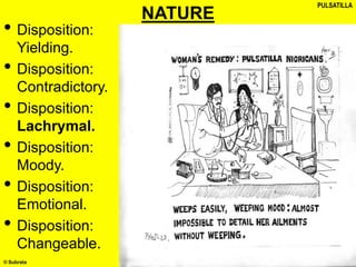 © Subrata
NATURE
• Disposition:
Yielding.
• Disposition:
Contradictory.
• Disposition:
Lachrymal.
• Disposition:
Moody.
• Disposition:
Emotional.
• Disposition:
Changeable.
PULSATILLA
 