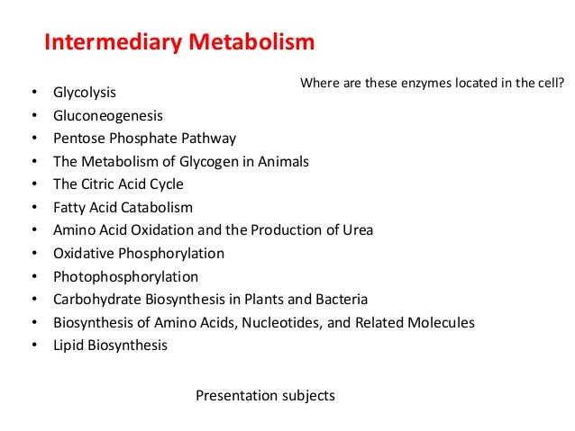 Bmm480 Enzymology Lecture 1