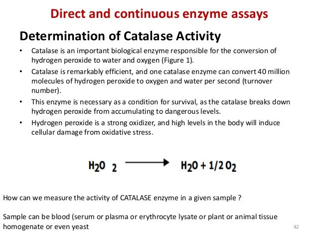 Bmm480 Enzymology Lecture 6