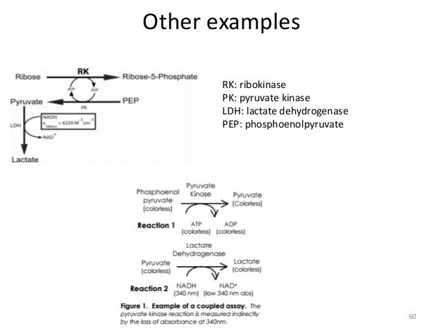 Bmm480 Enzymology Lecture 6 Bmm480 Enzymology Lecture 6