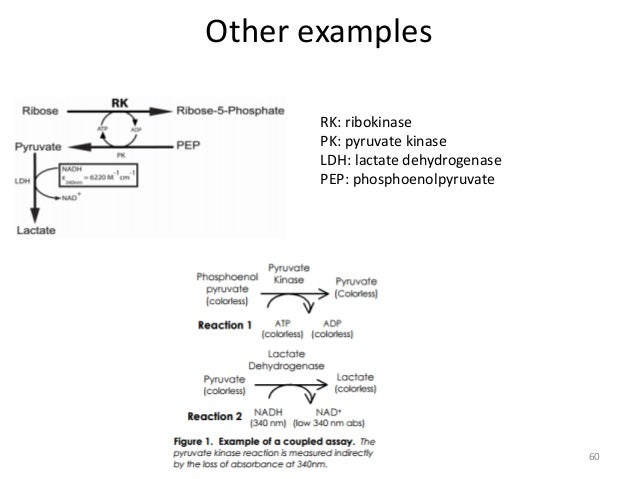 Bmm480 Enzymology Lecture 6