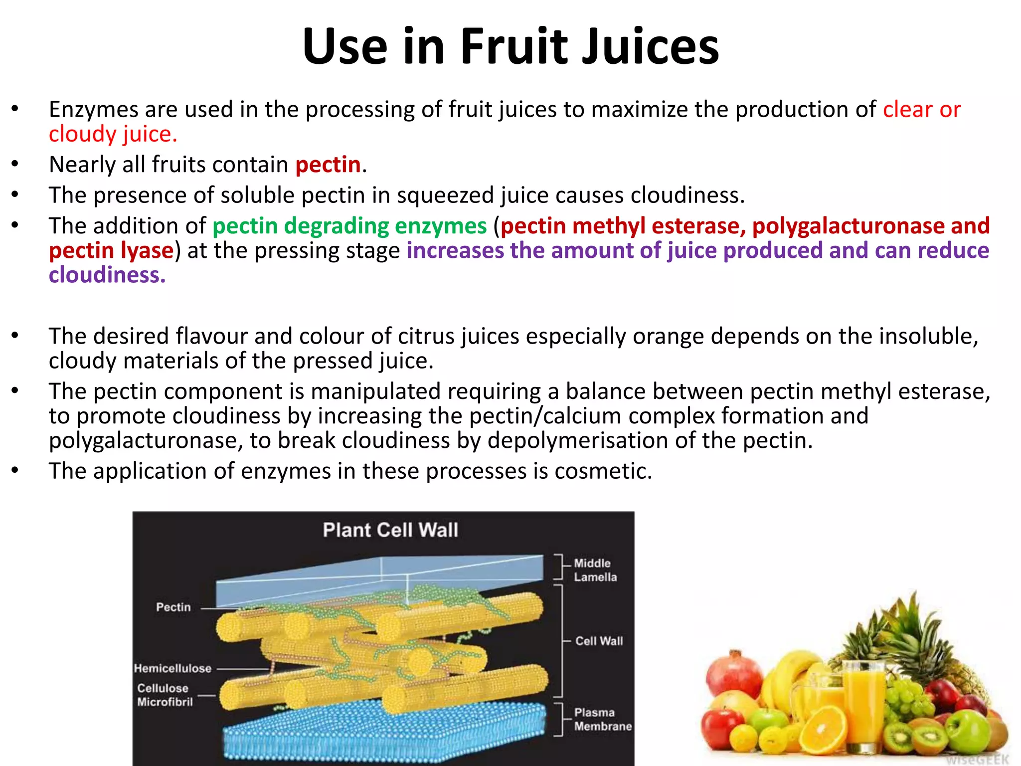 Use in Fruit Juices
• Enzymes are used in the processing of fruit juices to maximize the production of clear or
cloudy juice.
• Nearly all fruits contain pectin.
• The presence of soluble pectin in squeezed juice causes cloudiness.
• The addition of pectin degrading enzymes (pectin methyl esterase, polygalacturonase and
pectin lyase) at the pressing stage increases the amount of juice produced and can reduce
cloudiness.
• The desired flavour and colour of citrus juices especially orange depends on the insoluble,
cloudy materials of the pressed juice.
• The pectin component is manipulated requiring a balance between pectin methyl esterase,
to promote cloudiness by increasing the pectin/calcium complex formation and
polygalacturonase, to break cloudiness by depolymerisation of the pectin.
• The application of enzymes in these processes is cosmetic.
 