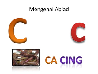 Mengenal Abjad
 