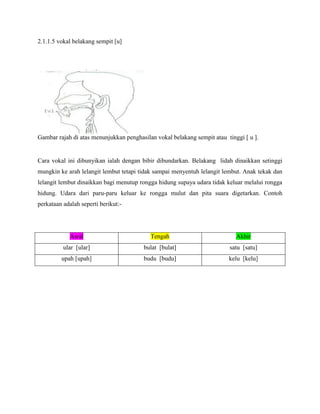 2.1.1.5 vokal belakang sempit [u]




Gambar rajah di atas menunjukkan penghasilan vokal belakang sempit atau tinggi [ u ].


Cara vokal ini dibunyikan ialah dengan bibir dibundarkan. Belakang lidah dinaikkan setinggi
mungkin ke arah lelangit lembut tetapi tidak sampai menyentuh lelangit lembut. Anak tekak dan
lelangit lembut dinaikkan bagi menutup rongga hidung supaya udara tidak keluar melalui rongga
hidung. Udara dari paru-paru keluar ke rongga mulut dan pita suara digetarkan. Contoh
perkataan adalah seperti berikut:-




             Awal                          Tengah                           Akhir
          ular [ular]                   bulat [bulat]                    satu [satu]
         upah [upah]                    budu [budu]                      kelu [kelu]
 