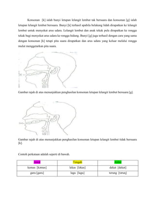 Konsonan [k] ialah bunyi letupan lelangit lembut tak bersuara dan konsonan [g] ialah
letupan lelangit lembut bersuara. Bunyi [k] terhasil apabila belakang lidah dirapatkan ke lelangit
lembut untuk menyekat arus udara. Lelangit lembut dan anak tekak pula dirapatkan ke rongga
tekak bagi menyekat arus udara ke rongga hidung. Bunyi [g] juga terhasil dengan cara yang sama
dengan konsonan [k] tetapi pita suara dirapatkan dan arus udara yang keluar melalui rongga
mulut menggetarkan pita suara.




Gambar rajah di atas menunjukkan penghasilan konsonan letupan lelangit lembut bersuara [g].




Gambar rajah di atas menunjukkan penghasilan konsonan letupan lelangit lembut tidak bersuara
[k].


Contoh perkataan adalah seperti di bawah.

            Awal                             Tengah                            Akhir
       kemas [kəmas]                      lekas [ləkas]                    dekat [dekat]
         garu [garu]                        lagu [lagu]                    terung [təruɳ]
 