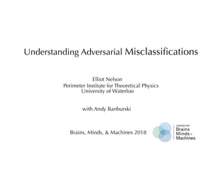 Understanding Adversarial Misclassiﬁcations
Elliot Nelson
Brains, Minds, & Machines 2018
Perimeter Institute for Theoretical Physics
University of Waterloo
with Andy Banburski
 