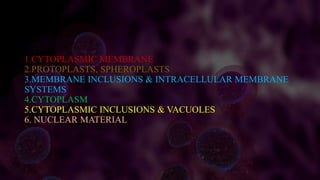 1.CYTOPLASMIC MEMBRANE
2.PROTOPLASTS, SPHEROPLASTS
3.MEMBRANE INCLUSIONS & INTRACELLULAR MEMBRANE
SYSTEMS
4.CYTOPLASM
5.CYTOPLASMIC INCLUSIONS & VACUOLES
6. NUCLEAR MATERIAL
 