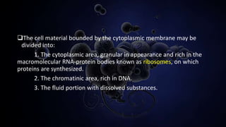 Cell components | PPTX