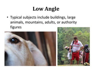 Low Angle
• Typical subjects include buildings, large
animals, mountains, adults, or authority
figures
 
