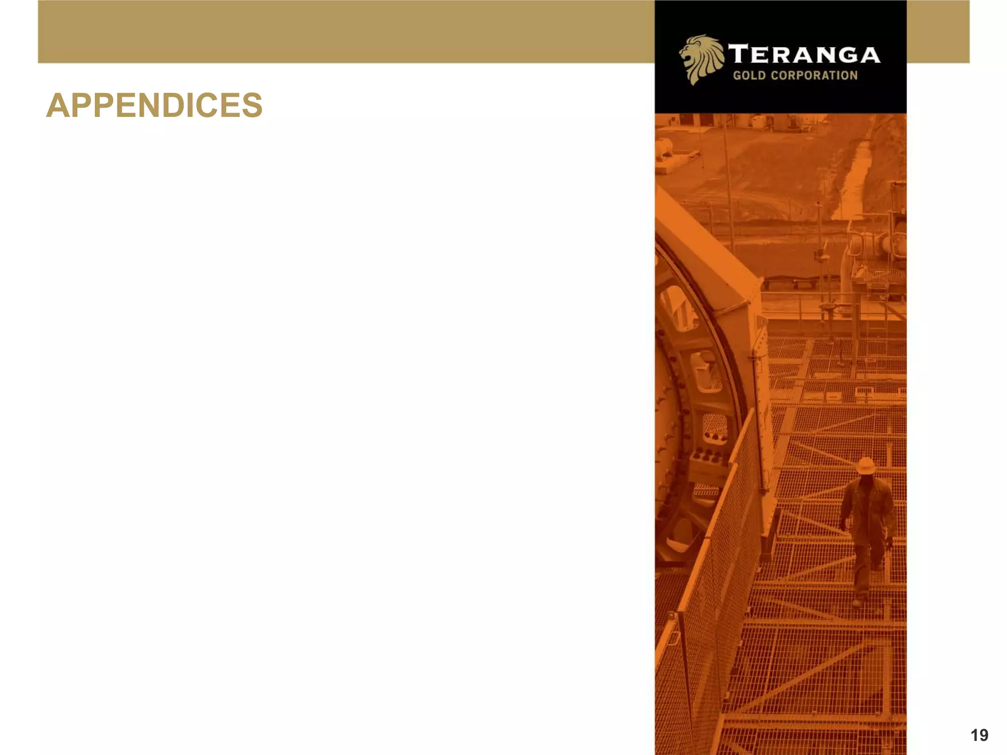 APPENDICES




             19
 
