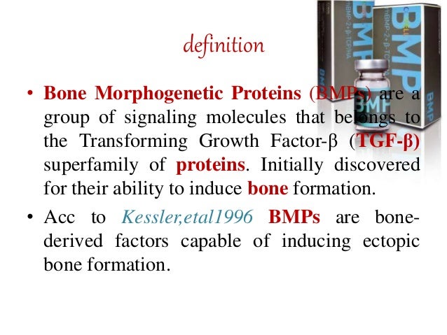 Basic Bone Morphing _ Doc:Walk Cycle – MWPGLA