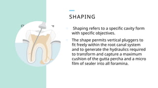 BIO MECHANICAL PREPARATION IN ROOT CANAL TREATMENT.pptx