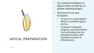 BIO MECHANICAL PREPARATION IN ROOT CANAL TREATMENT.pptx