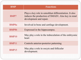 Bone morphogenic proteins | PPTX