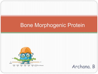 Archana. B
Bone Morphogenic Protein
 
