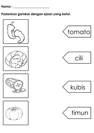 Nama : _______________________

Padankan gambar dengan ejaan yang betul.




                                      tomato



                                            cili



                                       kubis



                                           timun
 