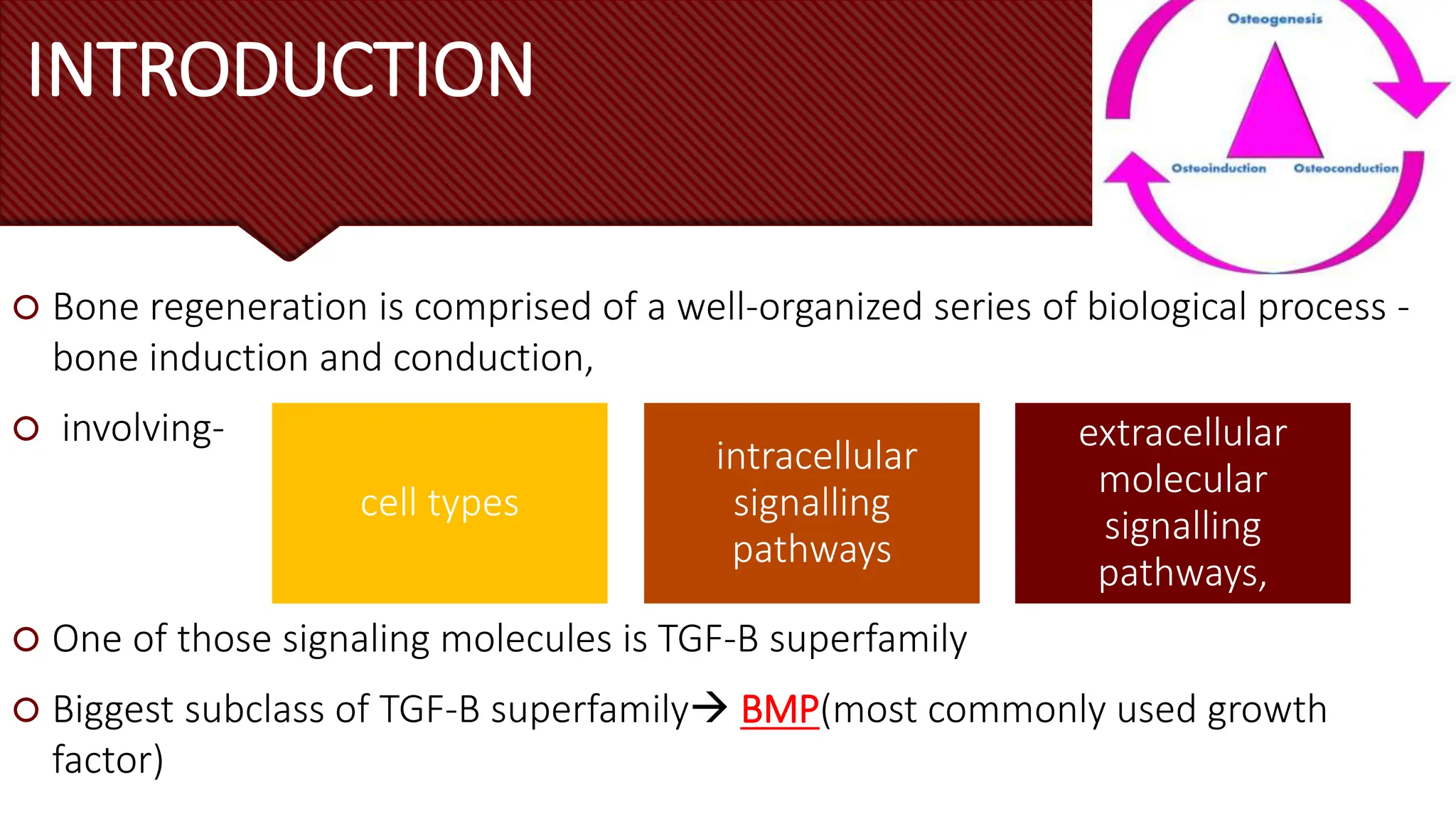 bone morphogenetic protein in periodontics | PPTX