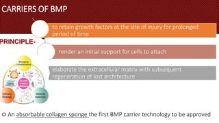 bone morphogenetic protein in periodontics | PPTX