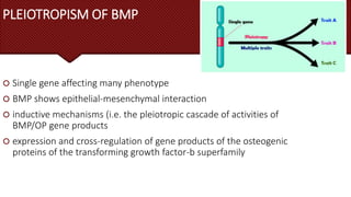 bone morphogenetic protein in periodontics | PPTX