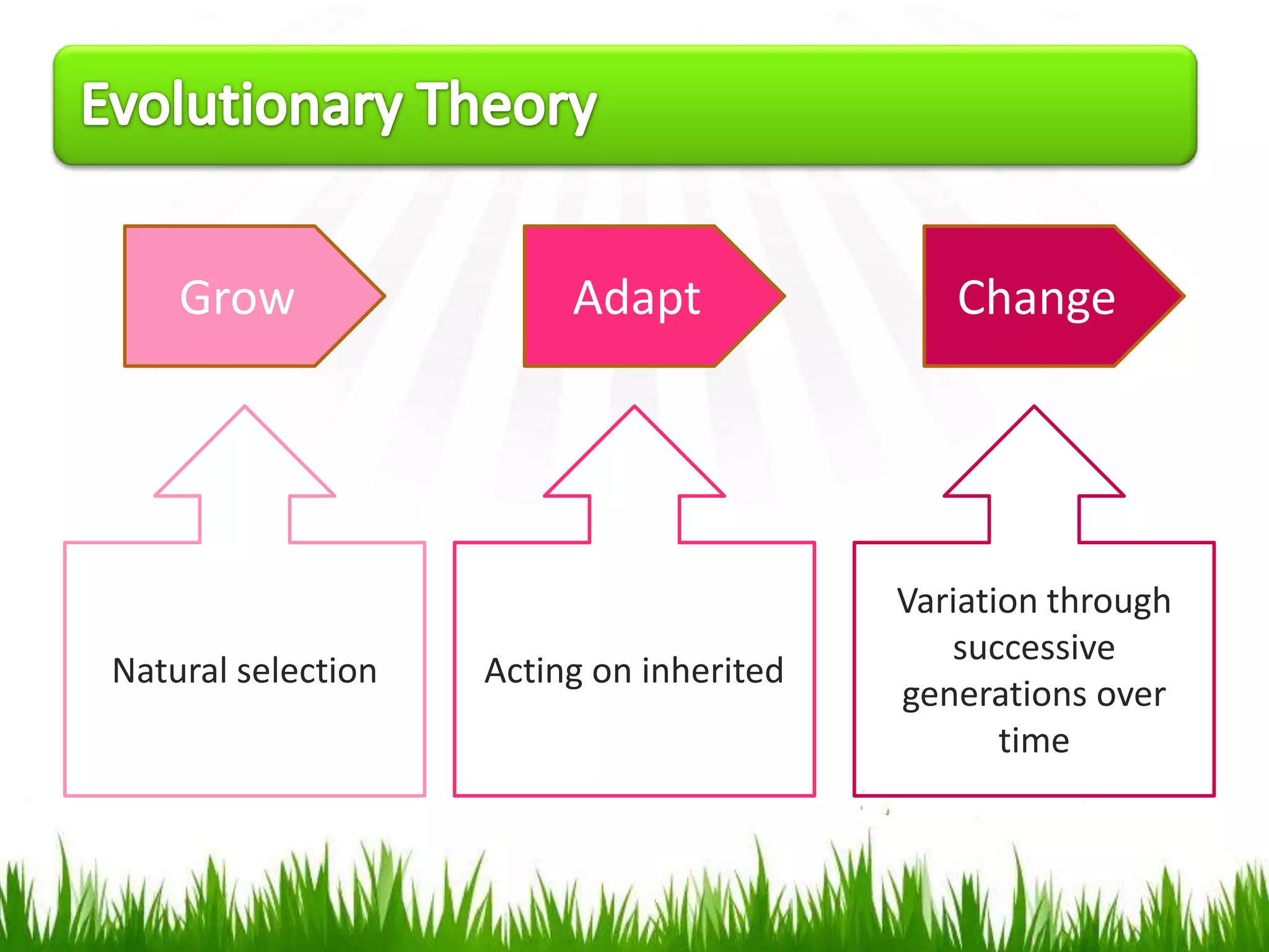 Grow                 Adapt               Change




                                          Variation through
                                             successive
Natural selection   Acting on inherited
                                          generations over
                                                 time
 