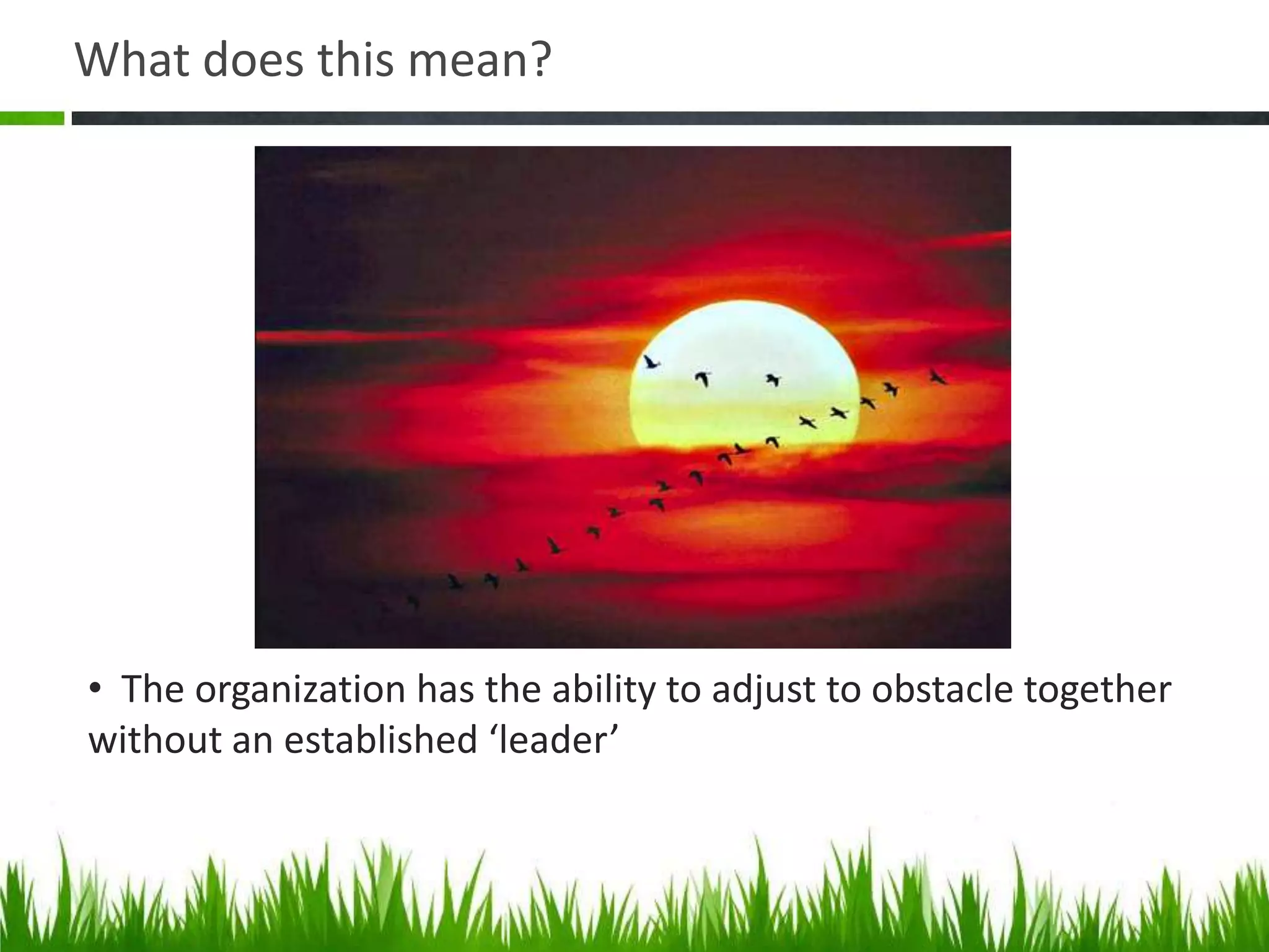 What does this mean?




• The organization has the ability to adjust to obstacle together
without an established ‘leader’
 